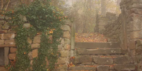 Klosterruine Disibodenberg