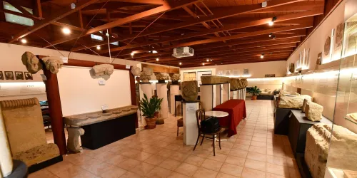 Ein Museum mit historischen Statuen und Ausstellungsstücken. Der Raum hat eine helle, einladende Atmosphäre mit Holzdecke und Pflanzen.