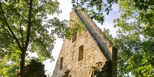 Klosterruine Disibodenberg