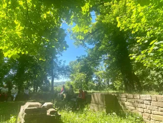 Eine grüne, sonnige Umgebung mit vielen Bäumen und einem klaren blauen Himmel. Einige Personen sitzen in der Nähe von alten Steinen und genießen die Natur.