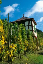 Weinbergshäuschen am Disibodenberg (© Weinland-Nahe e.V.)