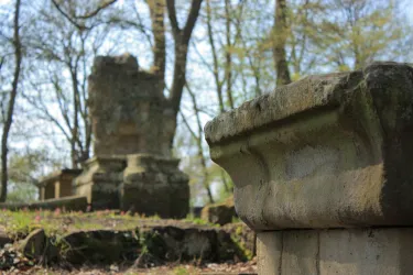 Eine alte, verwitterte Grabstätte im Wald. Moosbedeckte Steine und Bäume umgeben die Ruinen.