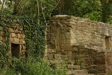 Eine alte Steinruine mit überwucherten Wänden und schmalen Treppen. Die Natur umgibt den Ort mit viel grünem Laub.