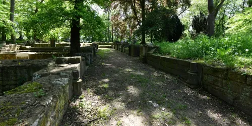 Klosterruine Disibodenberg