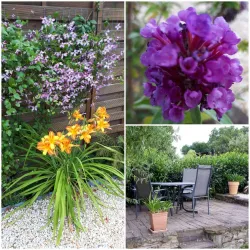 Gartenimpressionen 2