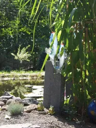 Gartenbereich Stimmungsbild Teich