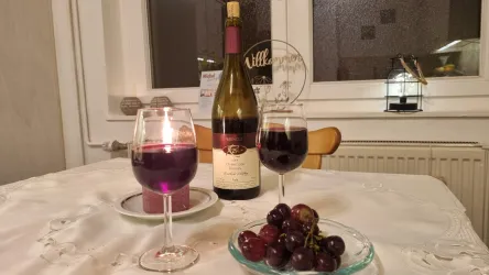Michel_Living_Abtweiler_Ferienwohnung_Sonne_Küche_