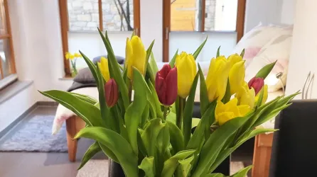 Michel_Living_Abtweiler_Ferienwohnung_Blumen_12541