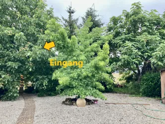 Weg vom Hof zur Ferienwohnung Richtung Eingang