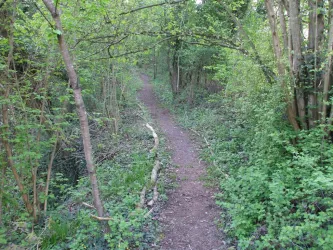 Wandelpfad (© Mitmach Museum Nahe der Natur)