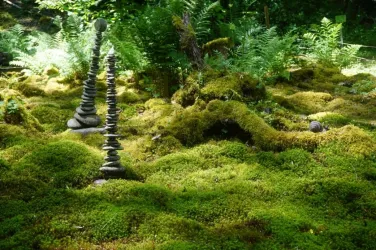 Eine ruhige Waldszene mit moosbedecktem Boden. Steinfiguren stehen harmonisch zwischen den grünen Farnen.