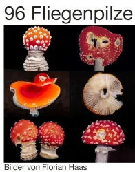Eine Collage aus verschiedenen Fliegenpilzen in leuchtenden Farben. Die Pilze haben unterschiedliche Formen und Muster.