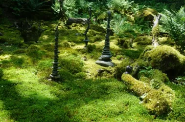 Ein moosbedeckter Waldboden mit einigen ausgestellten Steinsäulen. Efeu und Farne wachsen im Hintergrund.
