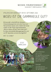 Ein Informationsflyer für einen Workshop über die Gammaeule. Im Hintergrund sind Teilnehmer in der Natur zu sehen, während sie etwas über den Lebensraum lernen.