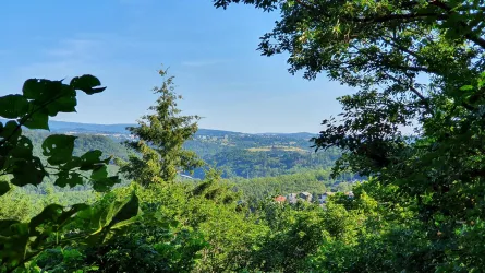 Aussichtspunkt Wildelei_Traumschleife Gräfin Loret
