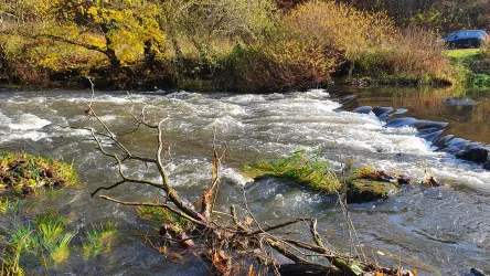 Ein ruhiger Fluss mit klarem Wasser und sanften Wellen. Im Hintergrund sind bunte Bäume und ein kleiner Wasserfall zu sehen.