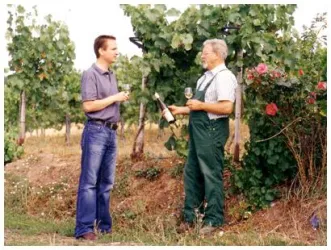 Weinberg
