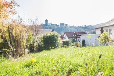 Blick zur Burg Lichtenberg