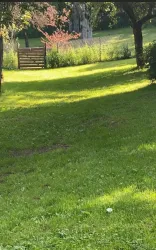 Wiese Pension Danner