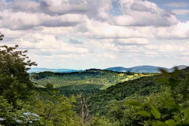 Pfalzblick Richtung Donnersberg