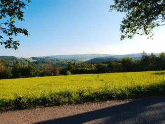 Sommerlandschaft am Bärenbachpfad