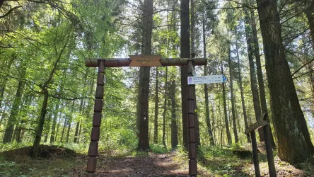 Tor zum Ungeheuer_Bärenbachpfad