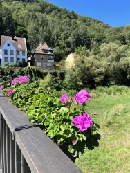 Aussicht vom Spielplatz
