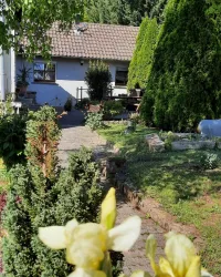 IMG-20210531-WA0005 (2)