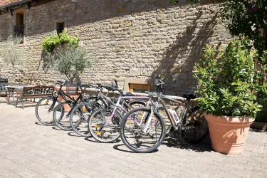 Tullius_Rebmeisterei_Fahrradverleih (© Tullius Rebmeisterei)