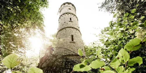 Alteburg (© Naheland Touristik | Moritz Attenberger)