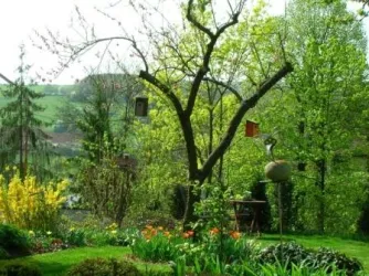 Garten (© Eleonore Anton)