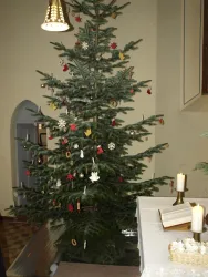 Weihnachtsbaum Eckweiler (© Albert Schauß)