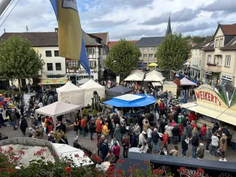 Gesamtansicht Obst- und Traubemmarkt Marktplatz Bad Sobernheim. Überall sind Zelte und Stände, die Waren und Lebensmittel anbieten.