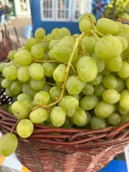 Ein Korb mit frischen, grünen Trauben. Sie sind saftig und reif, bereit zum Verzehr.