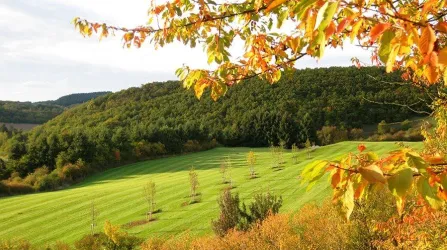 Golfplatz1 (© Golfclub Maasberg)