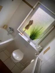 Ein modernes Badezimmer mit einer Badewanne, Toilette und einer großen Fensterbank. Grüne Pflanzen und dekorative Elemente verleihen dem Raum eine frische Atmosphäre.