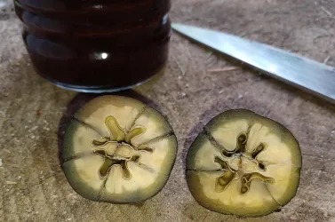 Pfälzer Trüffeln - David Diener (2) (© David Diener)