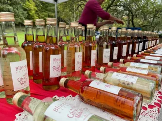 WhatsApp Image 2025-11-07 at 14.14.50