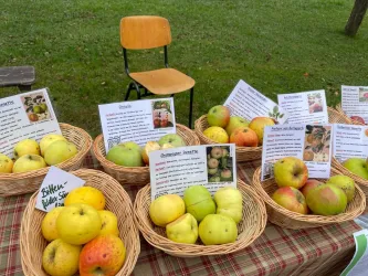 WhatsApp Image 2025-11-07 at 14.17.56