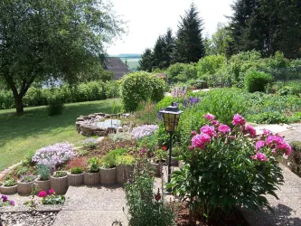 Ein schöner Garten mit bunten Blumen und einem kleinen Teich. Im Hintergrund sind Bäume und eine Wiese zu sehen.
