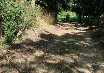 Ein schmaler, unebener Weg, umgeben von Bäumen und Sträuchern. Auf dem Boden liegen einige Plastiktüten und Abfälle.