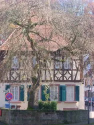 Franzref Pfarrhaus (© Tourist-Info Otterbach-Otterberg)