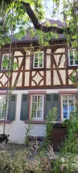 Ein charmantes Fachwerkhaus mit grünlichen Fensterläden. Das Gebäude ist von Bäumen und Gartenpflanzen umgeben.