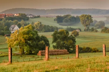 Sommerlicher Sonnenaufgang bei Lohnsfeld