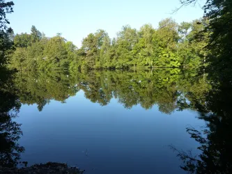 Lanzenbrunnerweiher