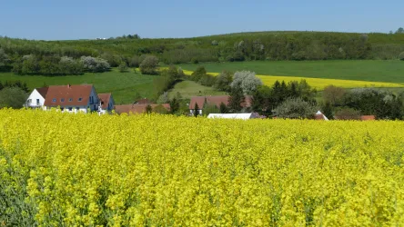 Holbornerhof