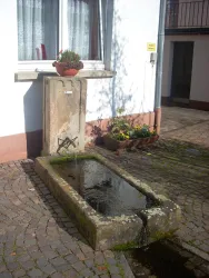 Erbsenbrunnen 1