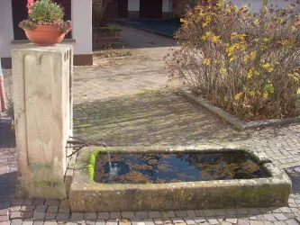 Erbsenbrunnen