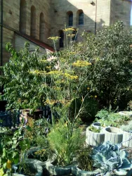 Klostergarten Otterberg ..