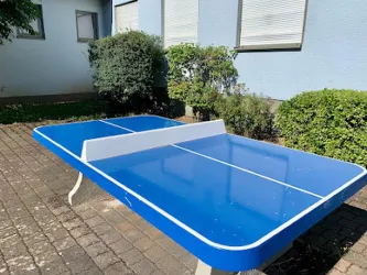 Tischtennisplatte